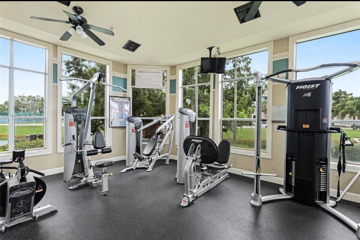 THE PALMS OF CORTEZ - Residential