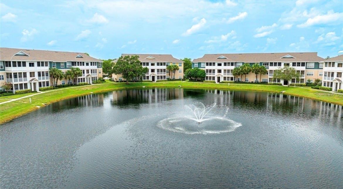 THE PALMS OF CORTEZ - Residential