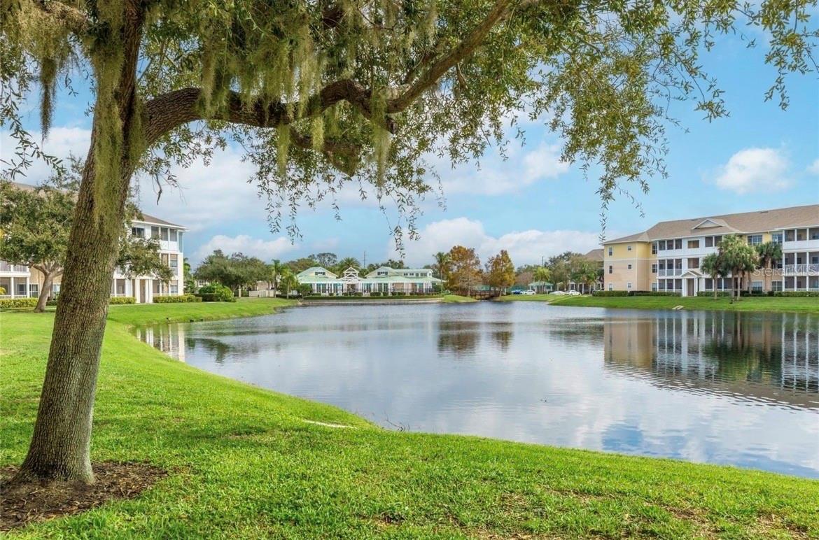 THE PALMS OF CORTEZ - Residential