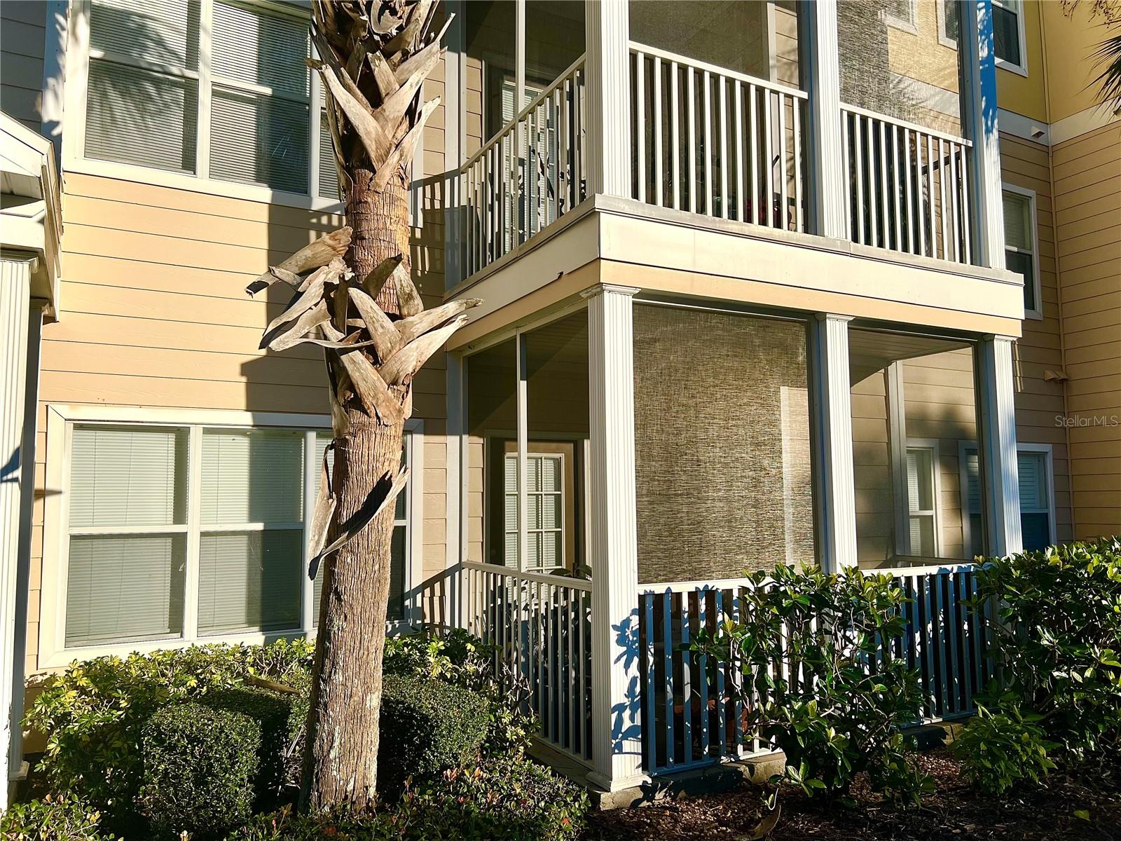 THE PALMS OF CORTEZ - Residential