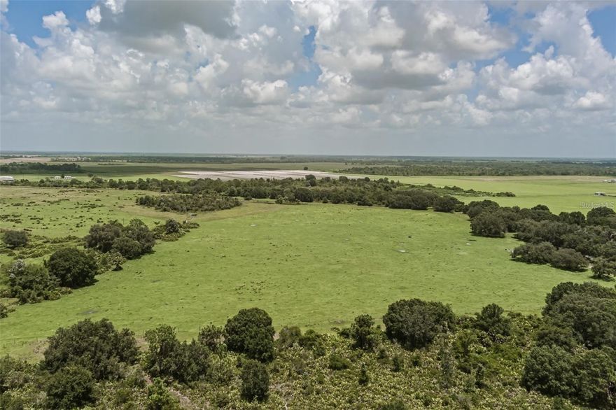 Welcome to one of the most stunning parcels of farmland in eastern Manatee County. Cattle fenced with multiple pastures, this 347 acre parcel is ideal for an outdoor enthusiast, farmer, hunter, ATV rider, RV owner or horse lover. Mineral rights do not convey. While unable to build a home here, take advantage of the lower entry cost into a property this impressive. Imagine the family campouts and outdoor activities you could enjoy here! Electric and well is currently available and this property has road frontage. Come see this farming retreat today! This listing includes 2 parcels ID108801259 and ID108803008.