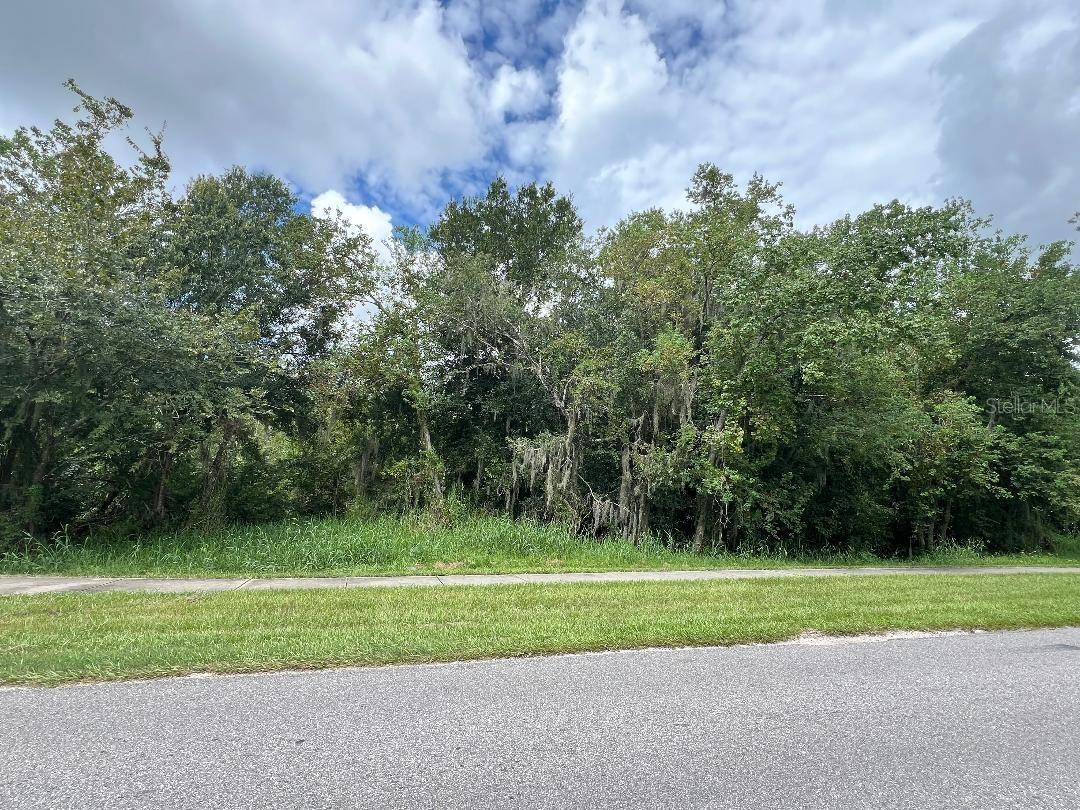 Discover the ultimate opportunity to build your dream home on this prime 1/3 acre vacant lot in Plant City, FL, located directly across from the picturesque Ronald L. Snowden Park. Enjoy serene park views and the convenience of nearby recreational amenities while being just minutes away from local shops and restaurants. This lot offers a perfect blend of tranquility and accessibility, allowing you to create a custom residence in an established neighborhood. Dive into the potential of this ideal location and make your vision a reality today!
