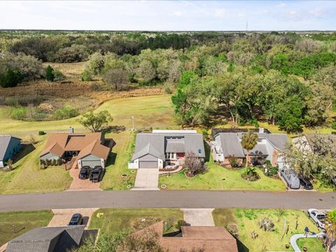 Photo of 34515 Cedarfield Drive, Dade City, FL 33523 (MLS # TB8478415)