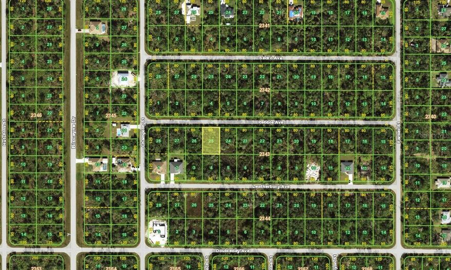 This .23-acre parcel offers an excellent opportunity to build your future home in the heart of Port Charlotte. The lot provides ample space for a single-family residence, outdoor living, or future improvements to suit your vision.

Conveniently located near shopping, dining, medical services, and local recreation, the property also allows easy travel with quick access to US-41 and I-75. Its setting offers both privacy and accessibility, making it a solid choice whether you’re ready to build now or planning for the future.

With Port Charlotte continuing to grow, this lot is a smart investment in one of Southwest Florida’s most active markets.