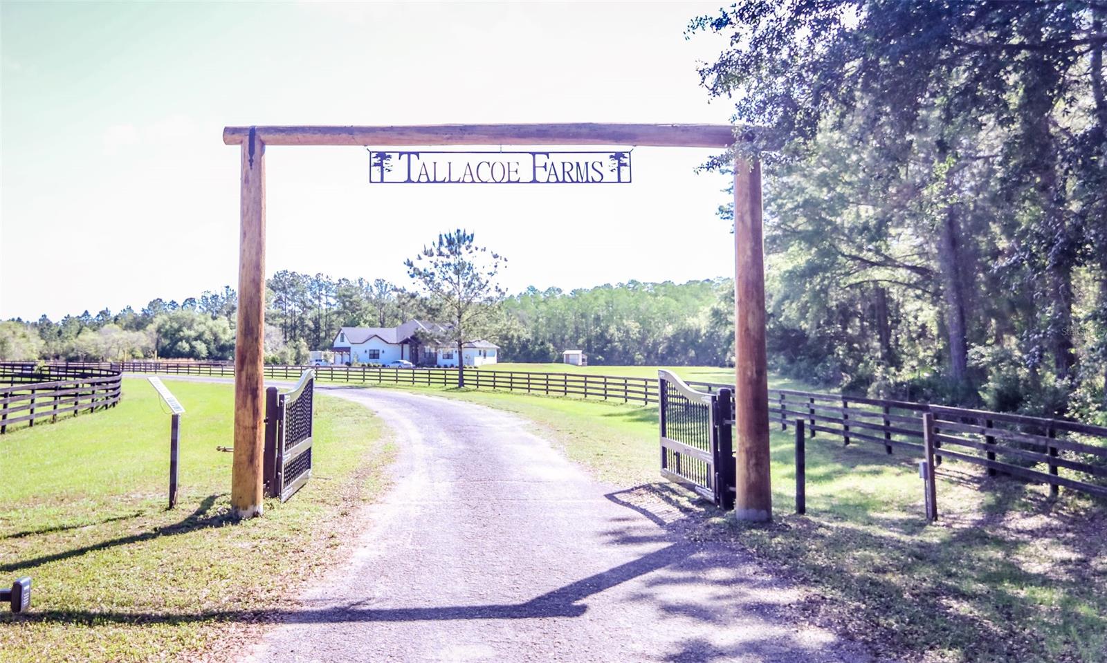 Howe & Curriers Allotment #1-3 - Land