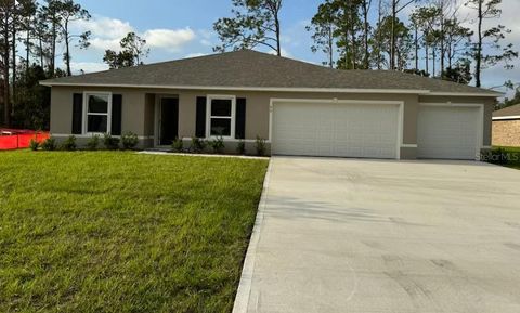 A home in PALM COAST