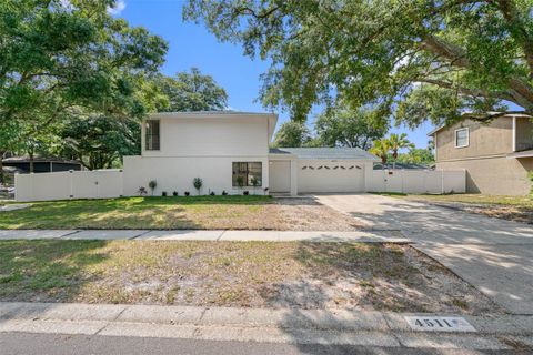 A home in TAMPA