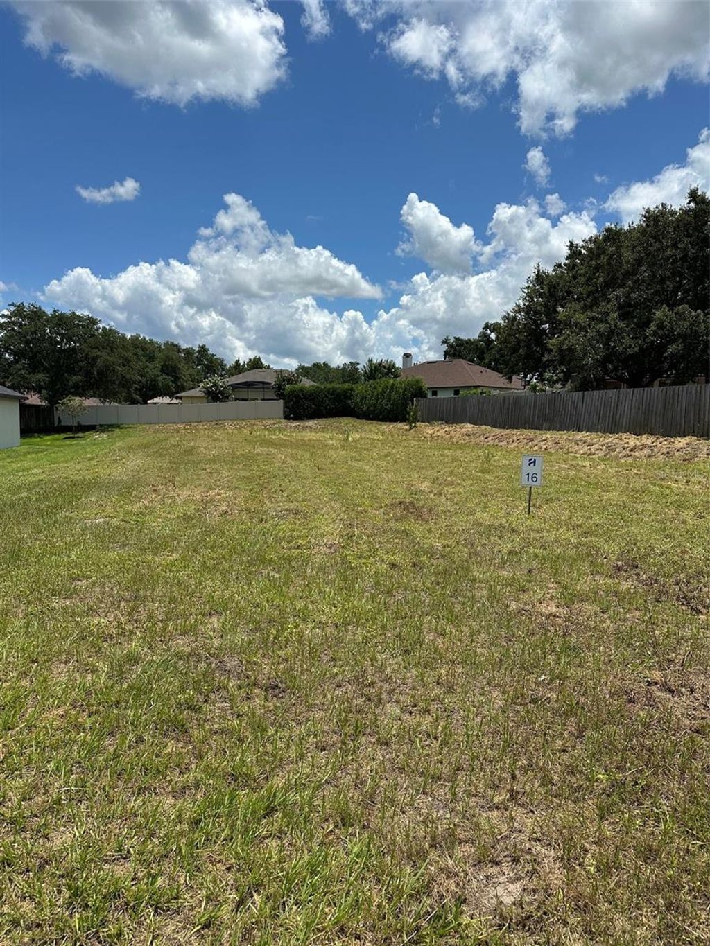 Photo of 16000 Matanilla Drive, Clermont, FL 34711 (MLS # G5110313)