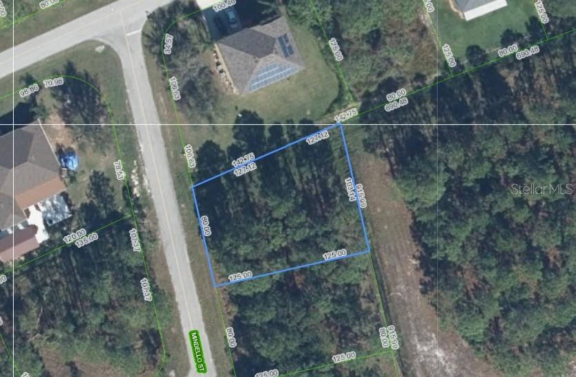 Photo of 4406 Mindello Street, Sebring, FL 33872 (MLS # P4940194)