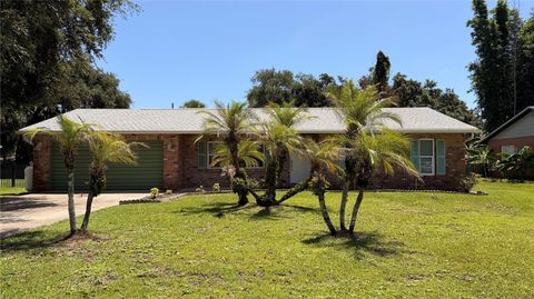 Photo of 2513 Orange Tree Drive, Edgewater, FL 32141 (MLS # O6425696)
