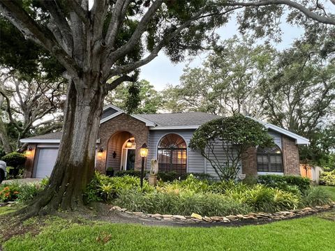 11760 ASHLEY COURT SEMINOLE FL 33772