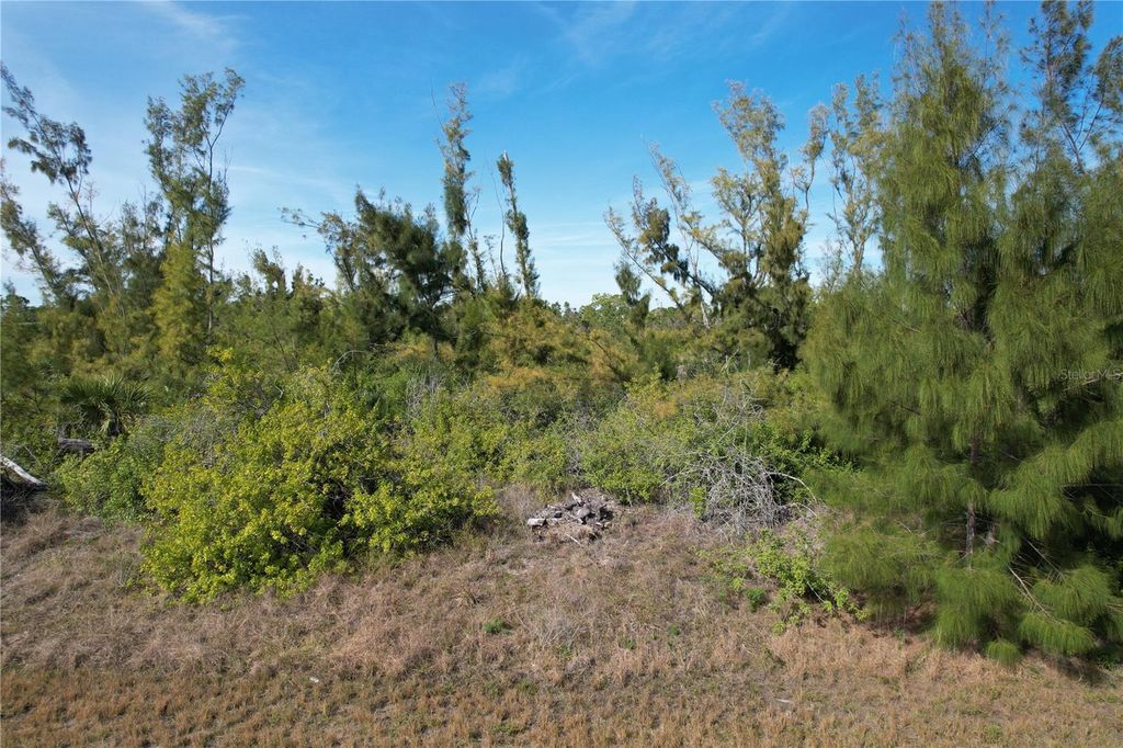 Photo of 10565 Abello Road, Port Charlotte, FL 33981 (MLS # C7522112)