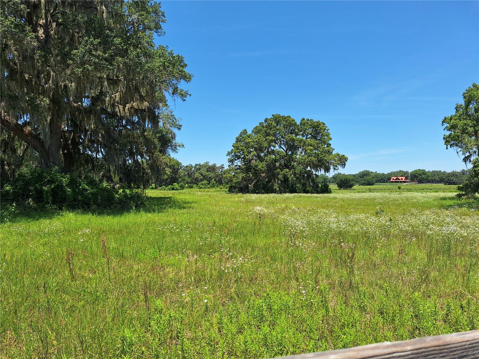 PARADISE FARM - Land