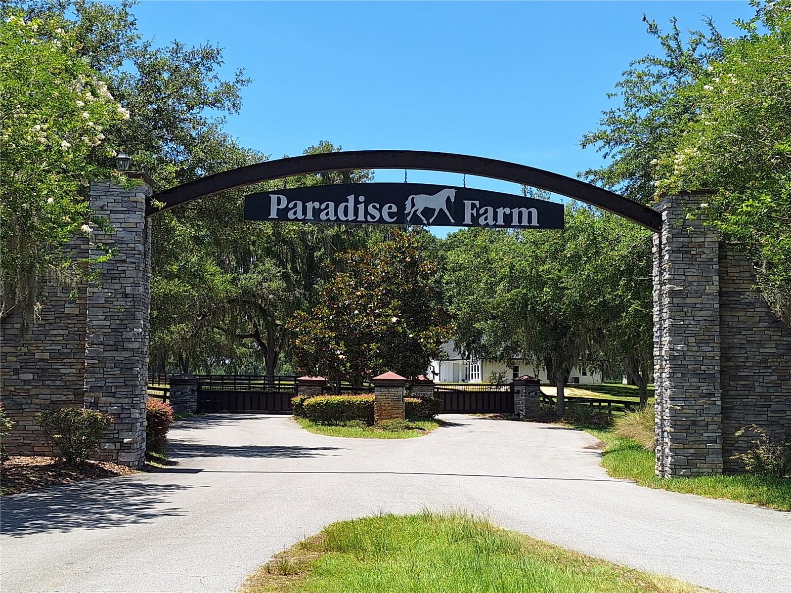 PARADISE FARM - Land