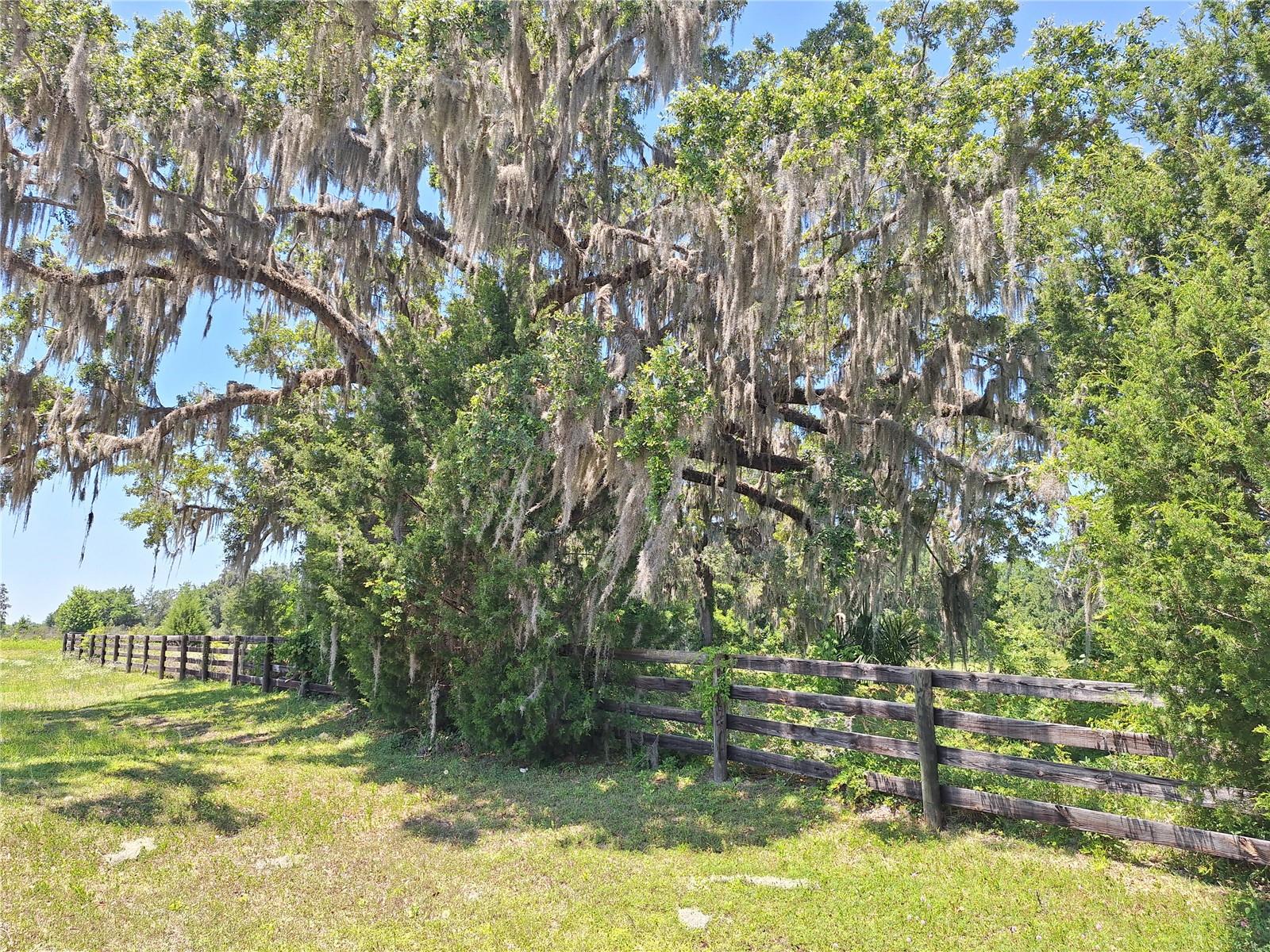 PARADISE FARM - Land