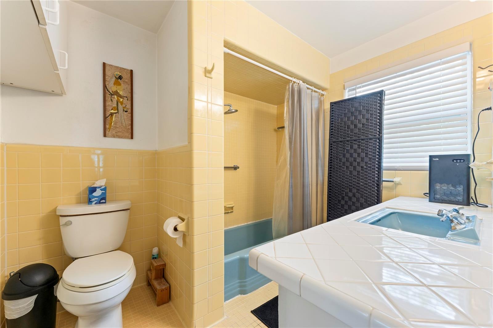 PALM GROVE - Residential