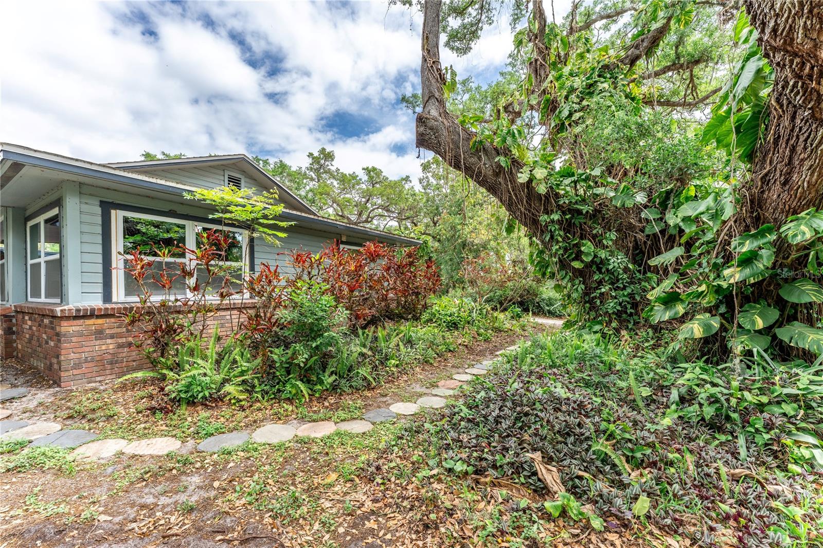 PALM GROVE - Residential