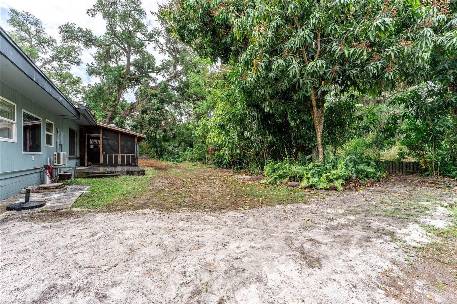 PALM GROVE - Residential