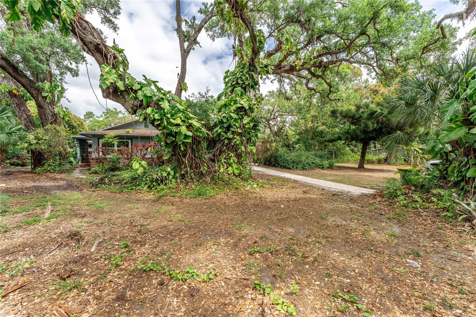 PALM GROVE - Residential