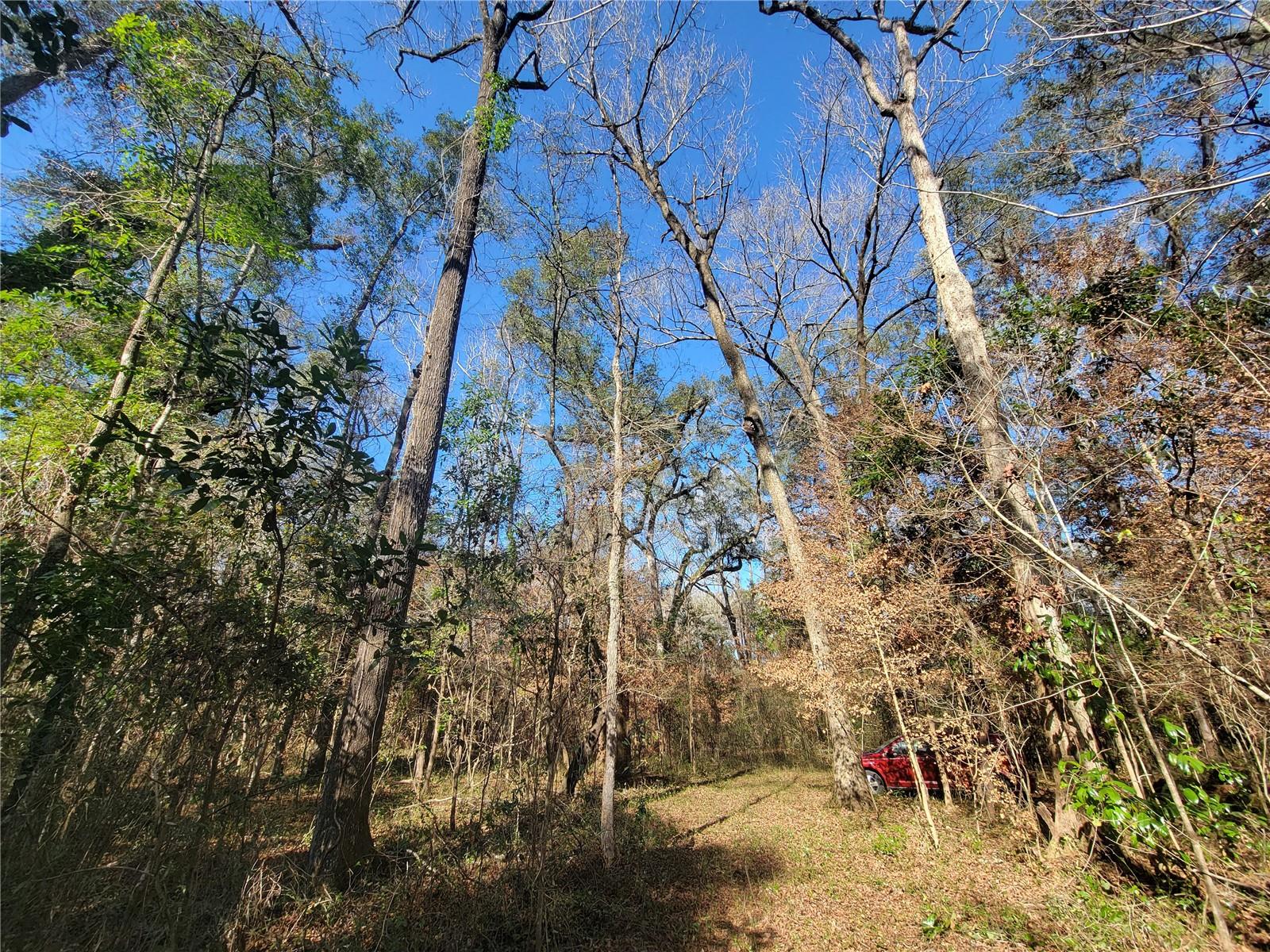 THREE RIVERS ESTATES - Land