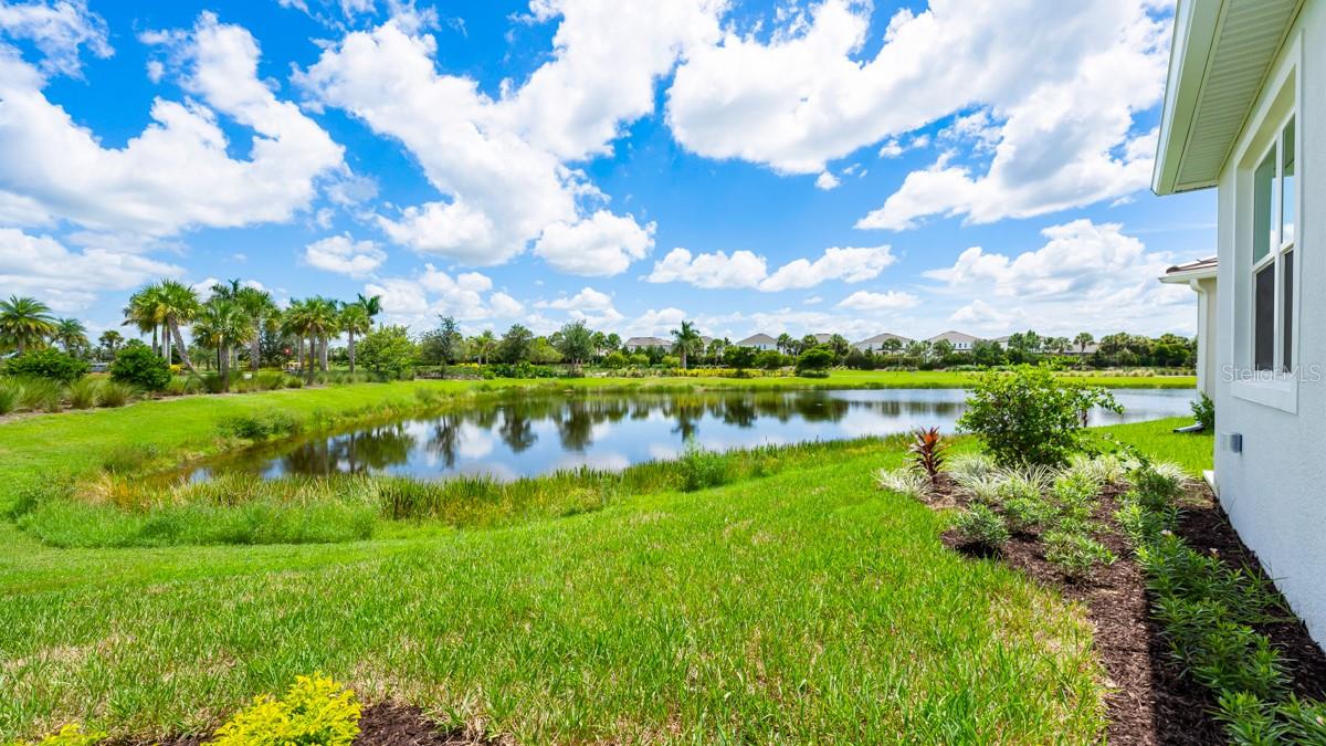 AZARIO ESPLANADE - Residential