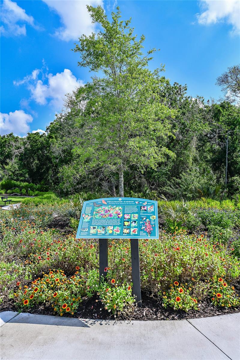 AZARIO ESPLANADE - Residential