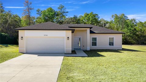 Photo of 13745 SW 43rd Circle, Ocala, FL 34473 (MLS # OM718139)