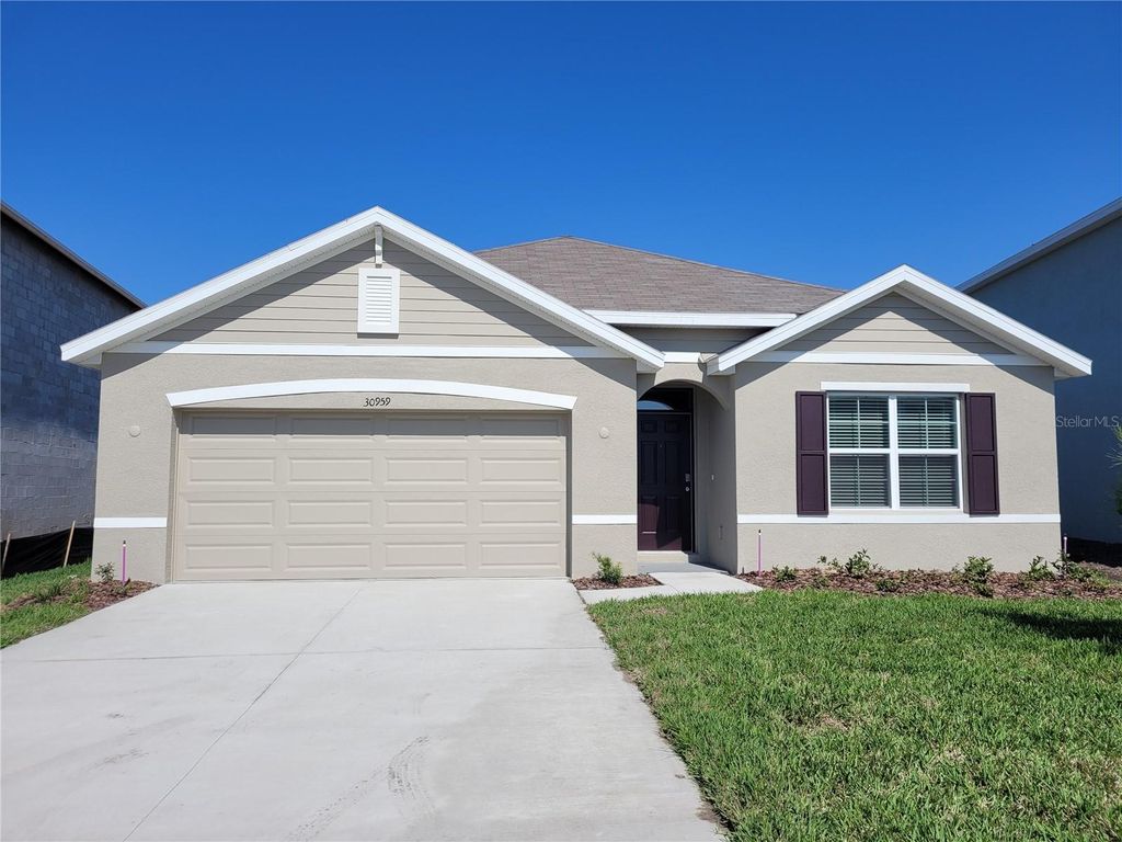 Photo of 30959 Penny Surf Loop, Wesley Chapel, FL 33545 (MLS # TB8480213)