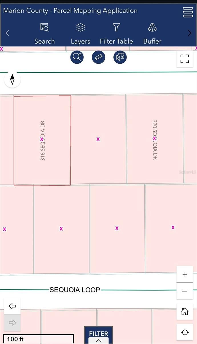 Photo of 316 Sequoia Drive, Ocklawaha, FL 32179 (MLS # OM726215)