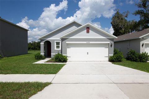 30376 ARMENIA ROAD LEESBURG FL 34748