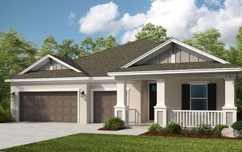3407 LUMBER FALLS DRIVE PLANT CITY FL 33565