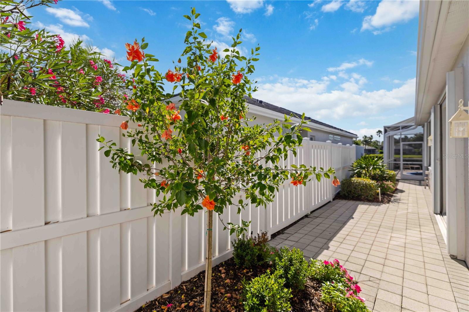 ROSEDALE 11 - Residential