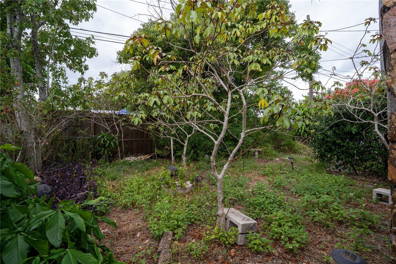 ORANGE LAKE VILLAGE - Residential