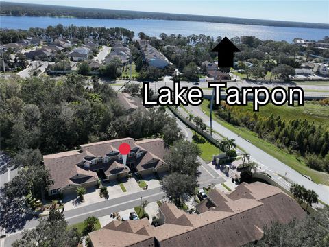 A home in TARPON SPRINGS