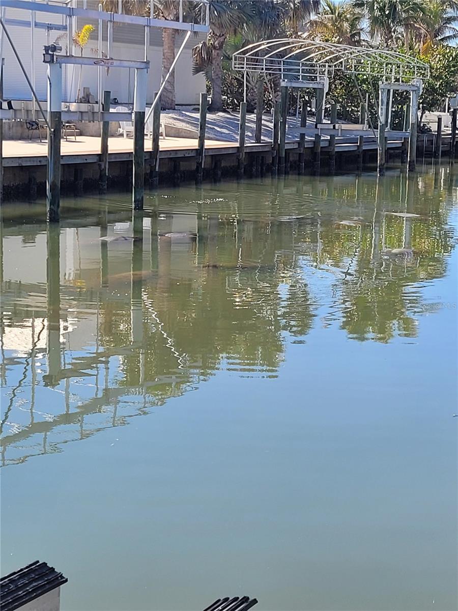 CAPE HAZE RESUB - Residential