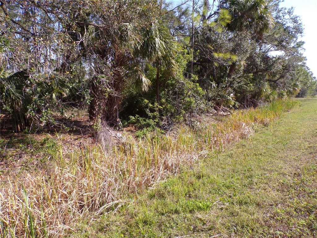 Photo of 1316 Biscayne Drive, Port Charlotte, FL 33953 (MLS # C7506082)