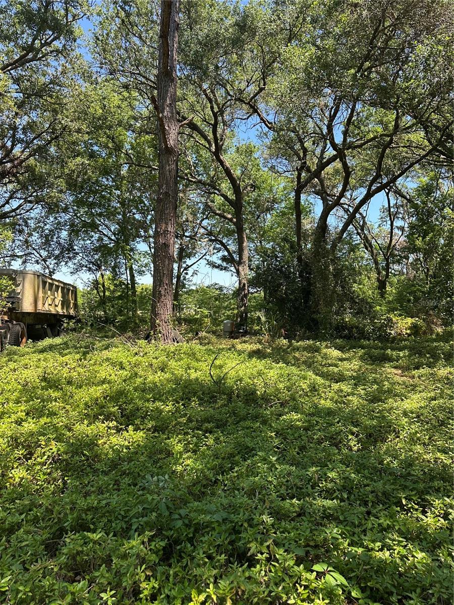 MASCOTTE EMPIRE CHURCH ROAD - Residential