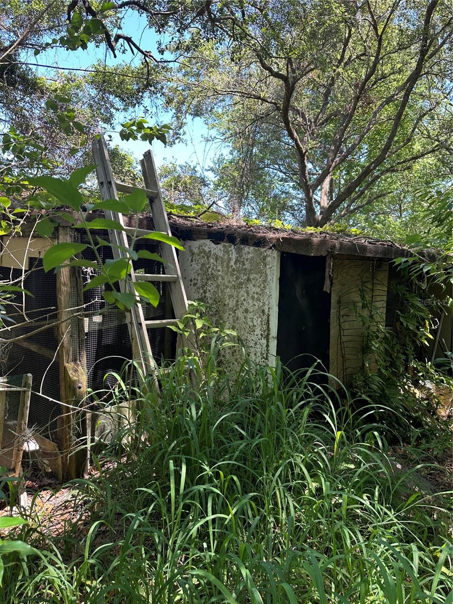 MASCOTTE EMPIRE CHURCH ROAD - Residential