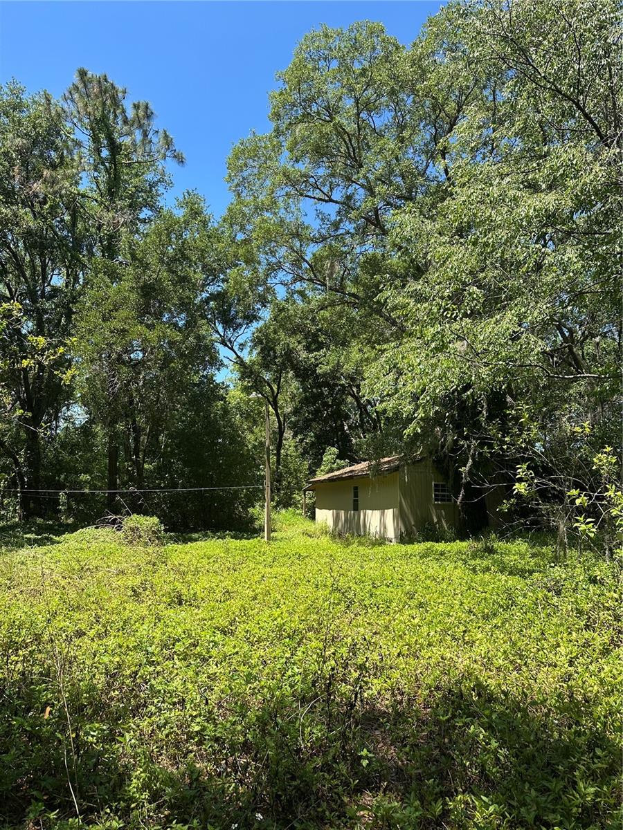 MASCOTTE EMPIRE CHURCH ROAD - Residential