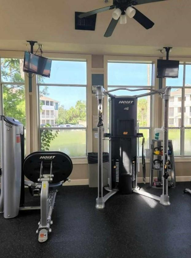 THE PALMS OF CORTEZ - Residential Lease