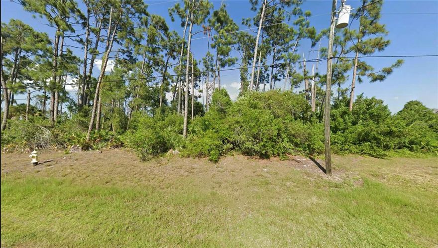 Fantastic opportunity to own a 0.17-acre vacant residential lot in the sought-after Rotonda West community of Rotonda Lakes. Zoned for residential use, this parcel offers the perfect canvas to build your custom home or invest in one of Southwest Florida’s well-established neighborhoods. Enjoy proximity to scenic lakes, golf courses, and outdoor recreation, while being just minutes from shopping, dining, and the Gulf Coast beaches. With its prime location and development potential, this lot is ideal for anyone looking to create their dream home or secure land in a growing, desirable area.