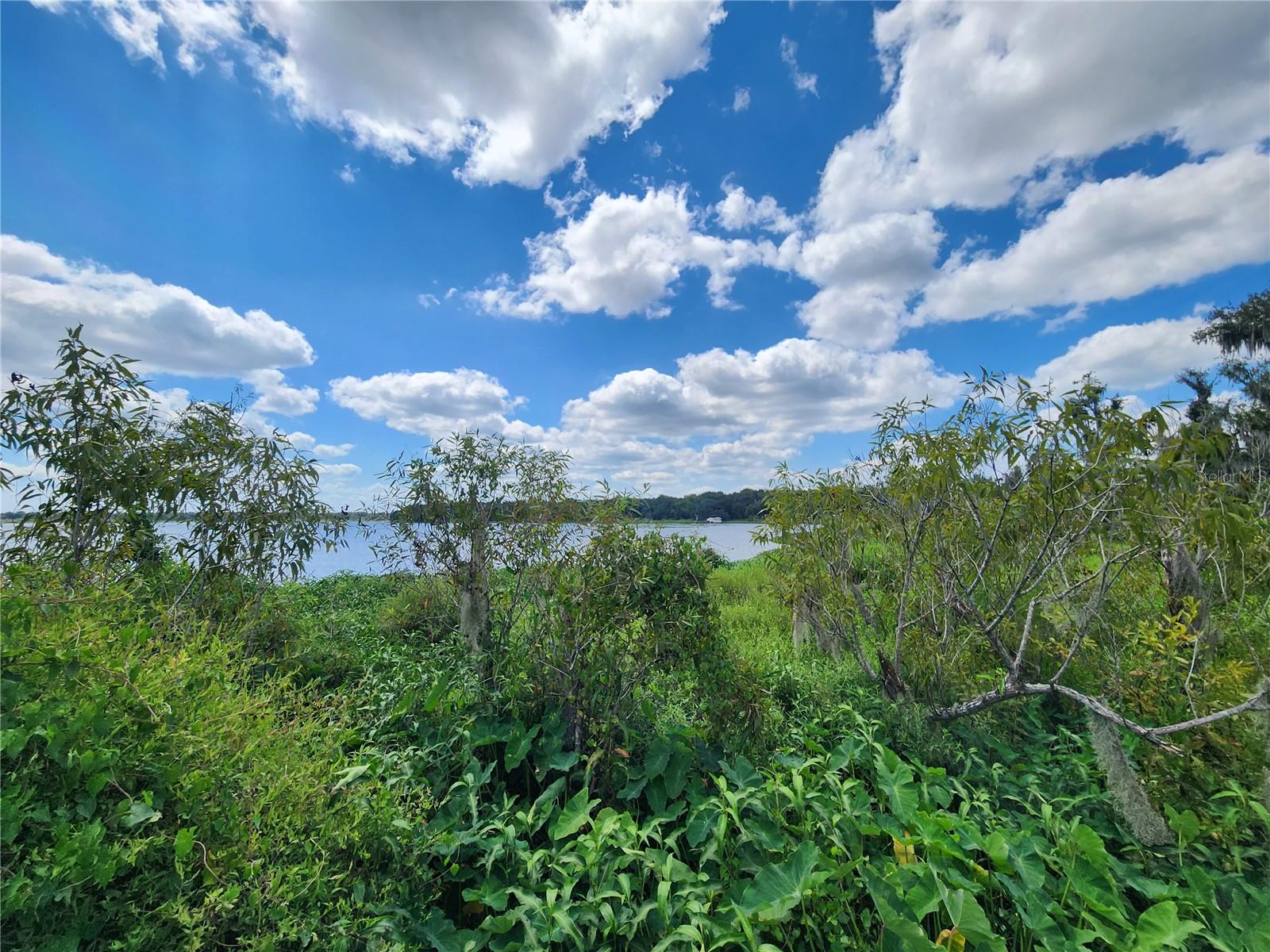 LITTLE ORANGE LAKE ESTATES - Land