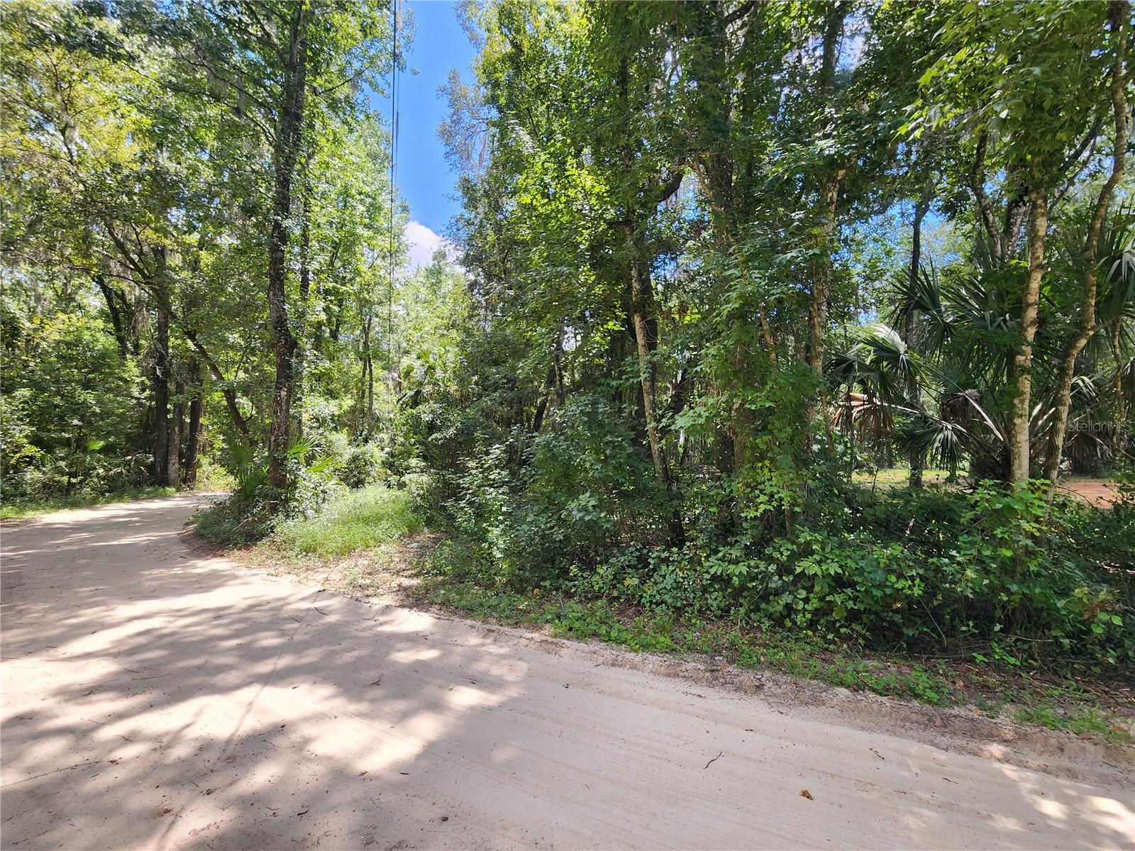 LITTLE ORANGE LAKE ESTATES - Land