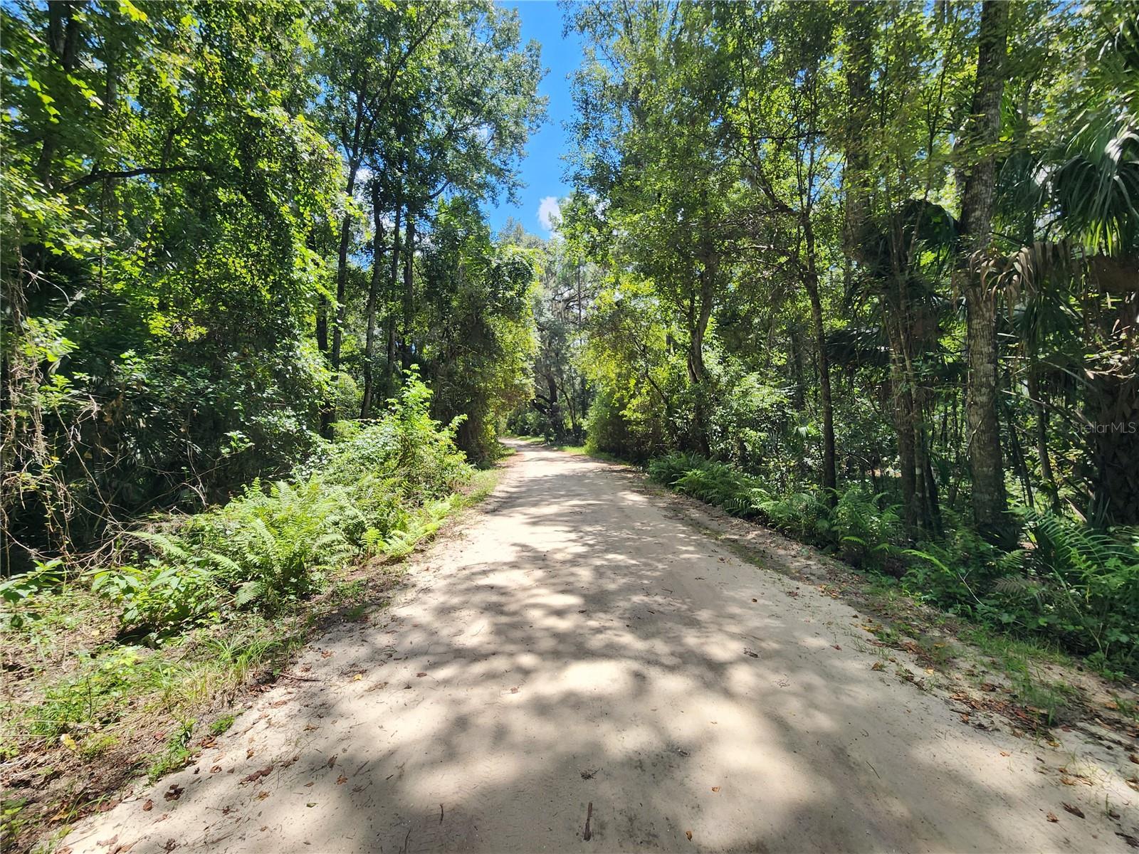 LITTLE ORANGE LAKE ESTATES - Land