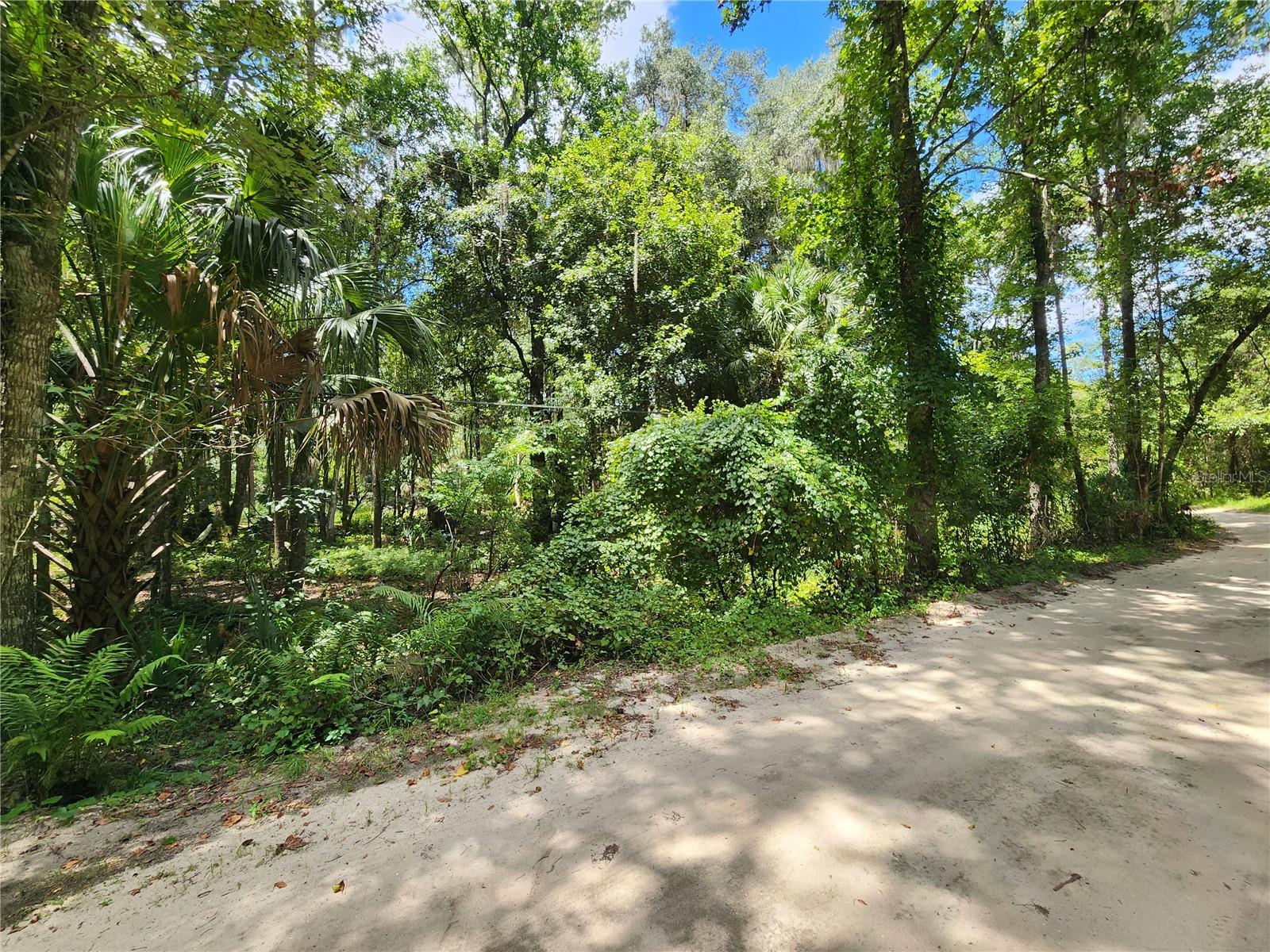 LITTLE ORANGE LAKE ESTATES - Land