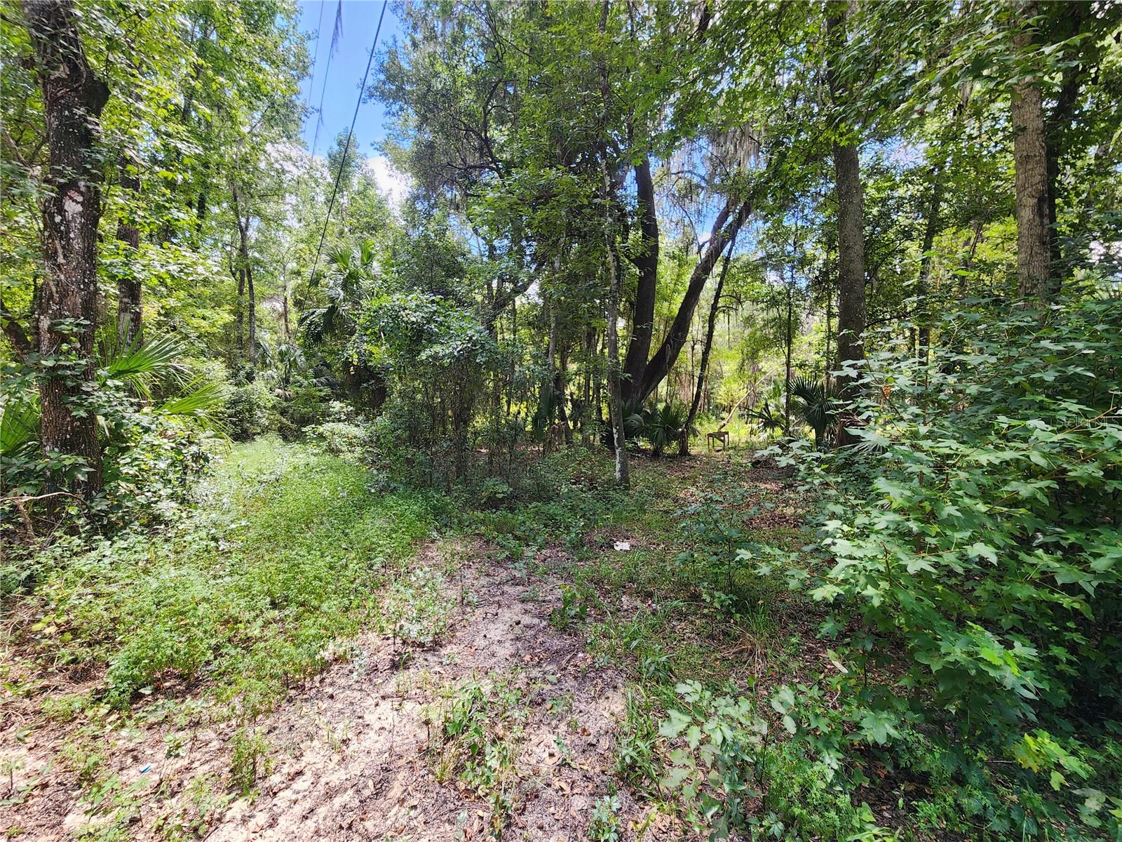 LITTLE ORANGE LAKE ESTATES - Land