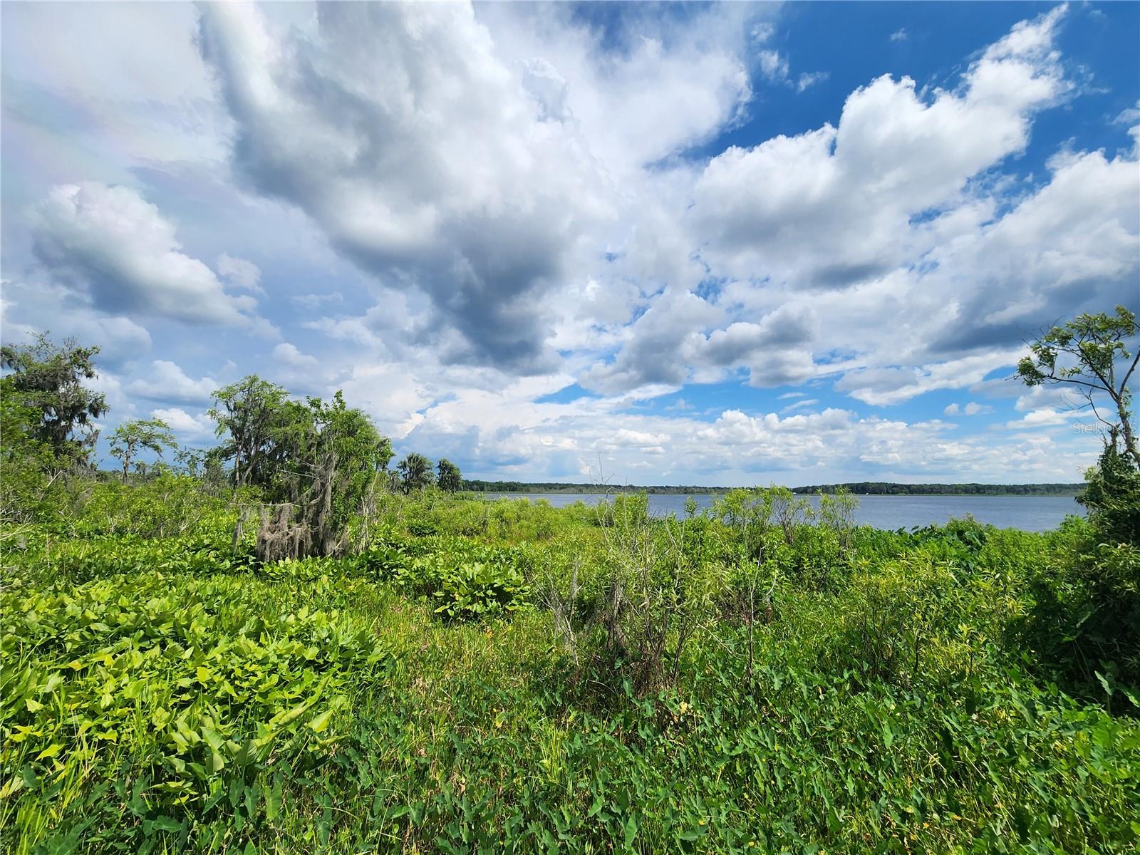 LITTLE ORANGE LAKE ESTATES - Land
