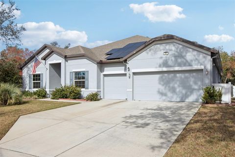 32 BIRCHTREE STREET HOMOSASSA FL 34446