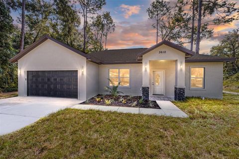 A home in BELLEVIEW