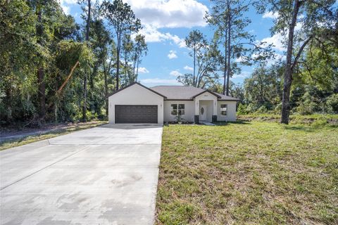 A home in BELLEVIEW